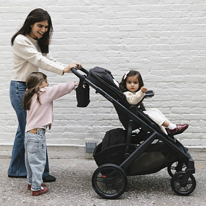 Коляска 2 в 1 UPPAbaby "Виста В3 Джейк"